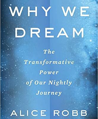 Why We Dream: The Transformative Power of Our Nightly Journey