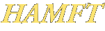 Houston Association for Marriage and Family Therapy (HAMFT)
