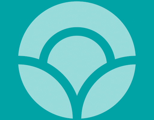 Reviva Softworks Ltd