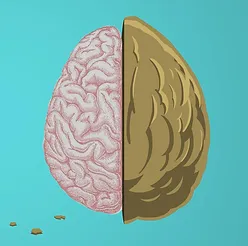 Therapy in a Nutshell, LLC
